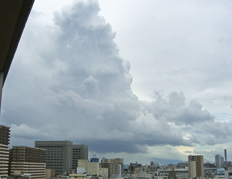 c0095679_13332089.gif