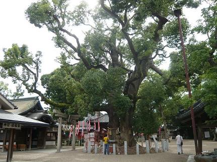 武田菱のふるさと!?住吉大社を訪ねて…_f0022982_030919.jpg