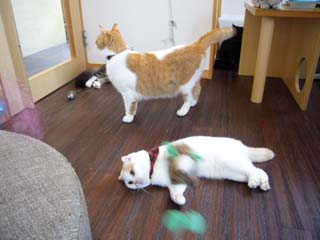f0091282_232517.jpg