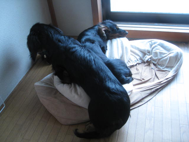 c0103691_156330.jpg