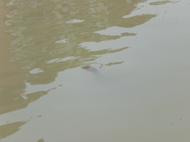 f0166694_22244779.jpg