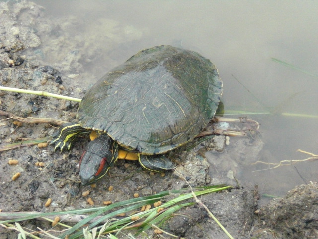 f0166694_22275772.jpg