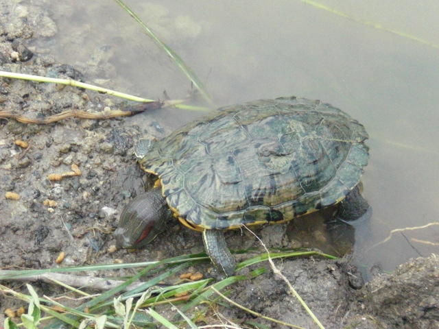 f0166694_2229261.jpg