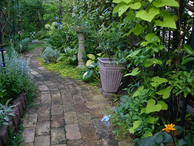 a0123003_005743.jpg