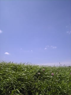 d0052904_2063117.jpg