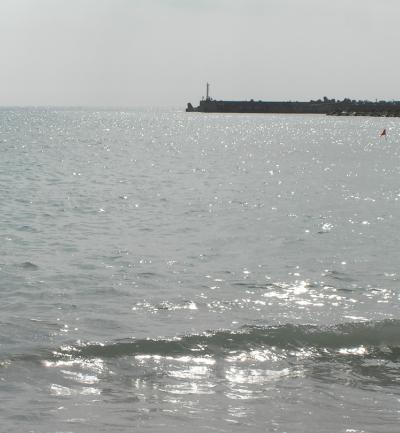 b0129008_12143941.jpg