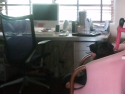 c0012120_23143675.jpg