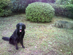c0012120_23153649.jpg