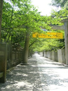 f0143521_20513239.jpg