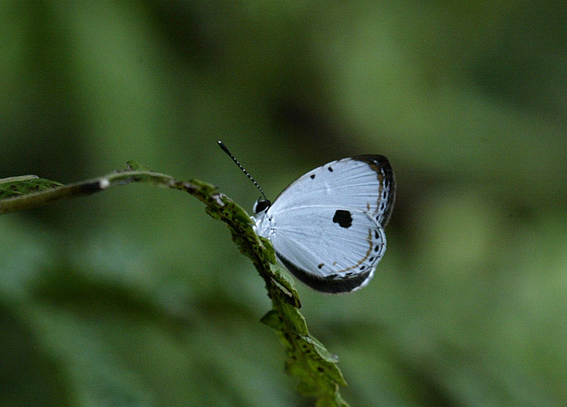 f0161823_9373887.jpg