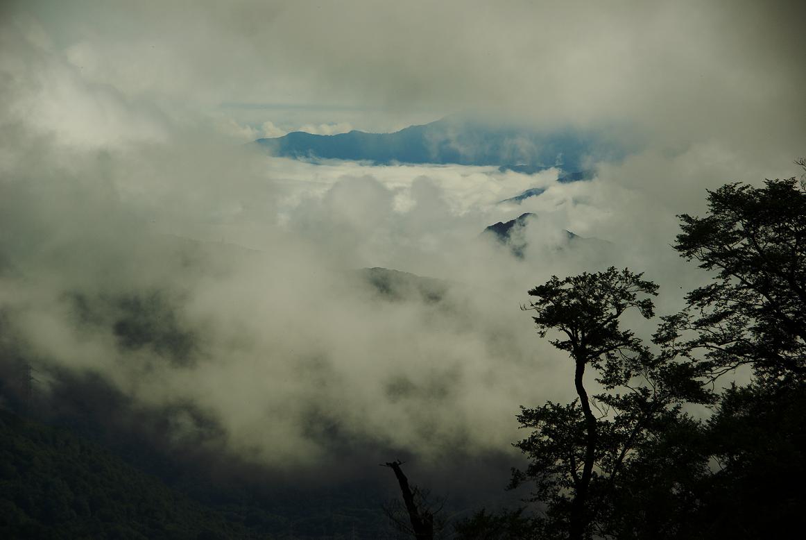 b0062024_2051044.jpg