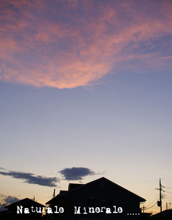 c0149724_1673246.jpg