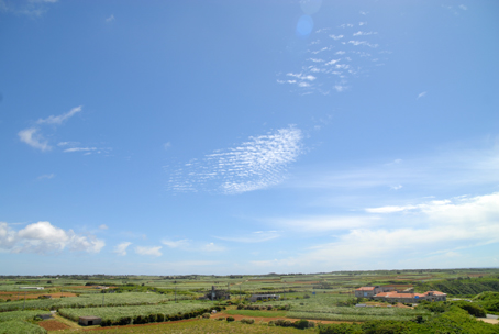 d0112024_1540616.jpg