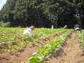 f0018424_8382026.jpg