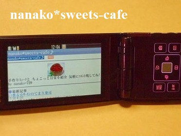 コーヒーチョコチップシフォン_d0147030_10193032.jpg