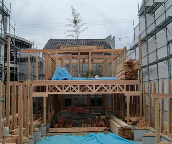c0183137_4639.jpg