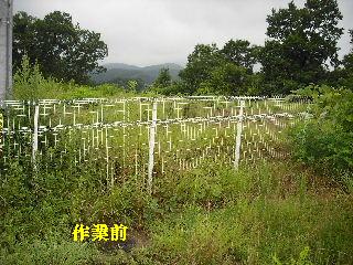 これぞハードワークの草刈り!_f0031037_21495582.jpg