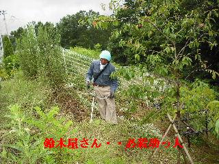 これぞハードワークの草刈り!_f0031037_21501776.jpg
