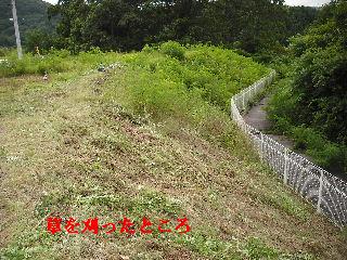 これぞハードワークの草刈り!_f0031037_21515552.jpg