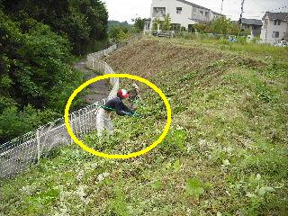 これぞハードワークの草刈り!_f0031037_2152204.jpg