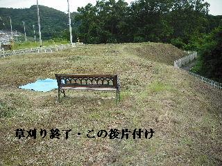 これぞハードワークの草刈り!_f0031037_21534033.jpg