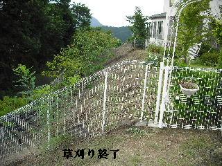 これぞハードワークの草刈り!_f0031037_21535192.jpg