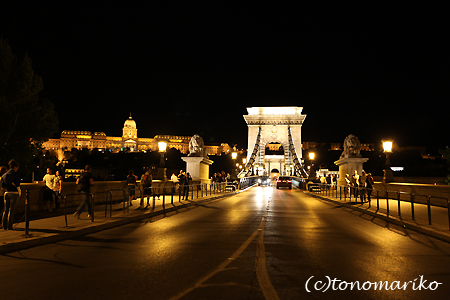 夜のブタペスト ハンガリー旅行6_c0024345_60331.jpg