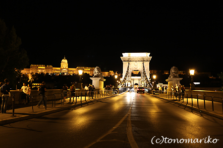 夜のブタペスト　ハンガリー旅行6_c0024345_60331.jpg