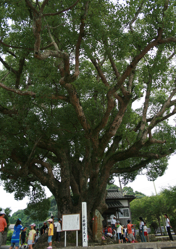 d0105749_17381379.jpg