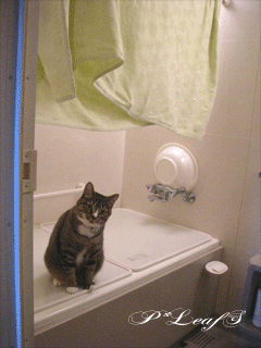 c0176651_16441916.gif