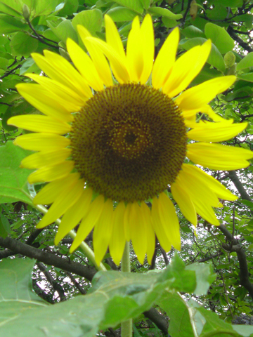 f0073254_031641.jpg