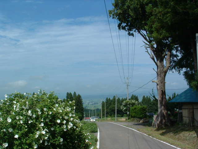 b0092858_2332197.jpg