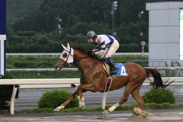 2009年7月26日（日） 高知競馬 6R B3_a0077663_1904373.jpg