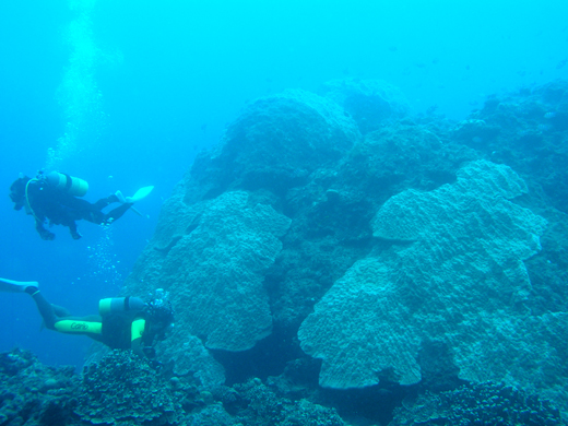 b0062363_12009.jpg