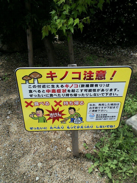 c0001670_20293096.jpg