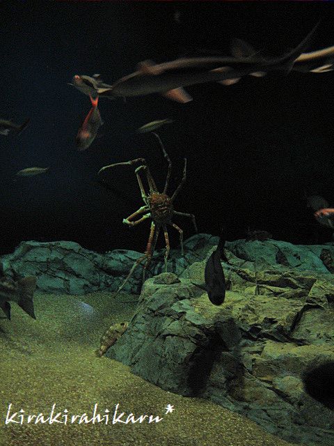 e0173670_13503478.jpg
