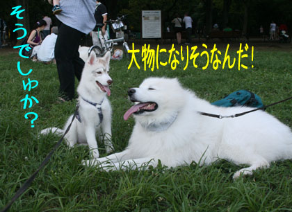c0161772_22514880.jpg