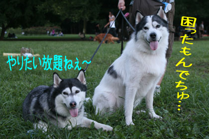 c0161772_22524296.jpg