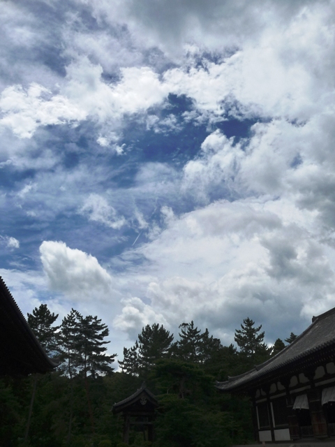 d0042474_15101.jpg