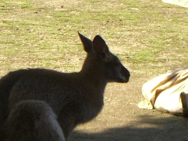 a0059277_2231177.jpg