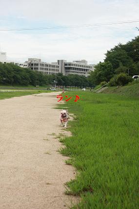 c0174077_23493765.jpg