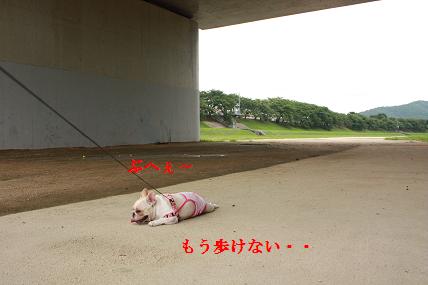 c0174077_23495447.jpg