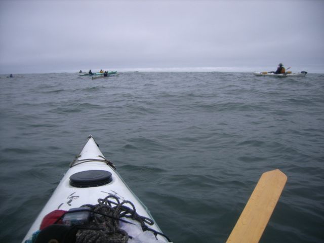 d0079579_81614.jpg