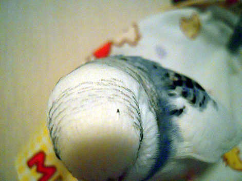 d0131293_1926121.jpg