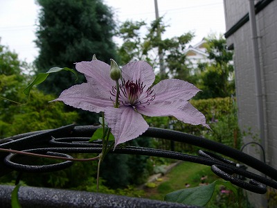 a0123003_1616148.jpg