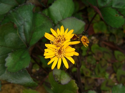 a0123003_16235288.jpg
