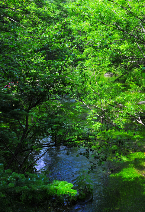b0158403_1025375.jpg