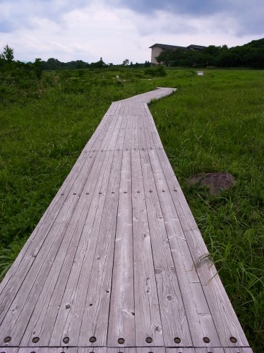 e0074308_20525371.jpg