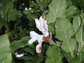 b0176111_23375639.gif