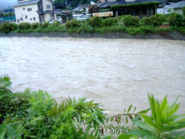 豪雨の一日 その2_e0029115_15122731.jpg